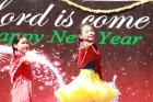 Merry Christmas and Happy New Year 2017
